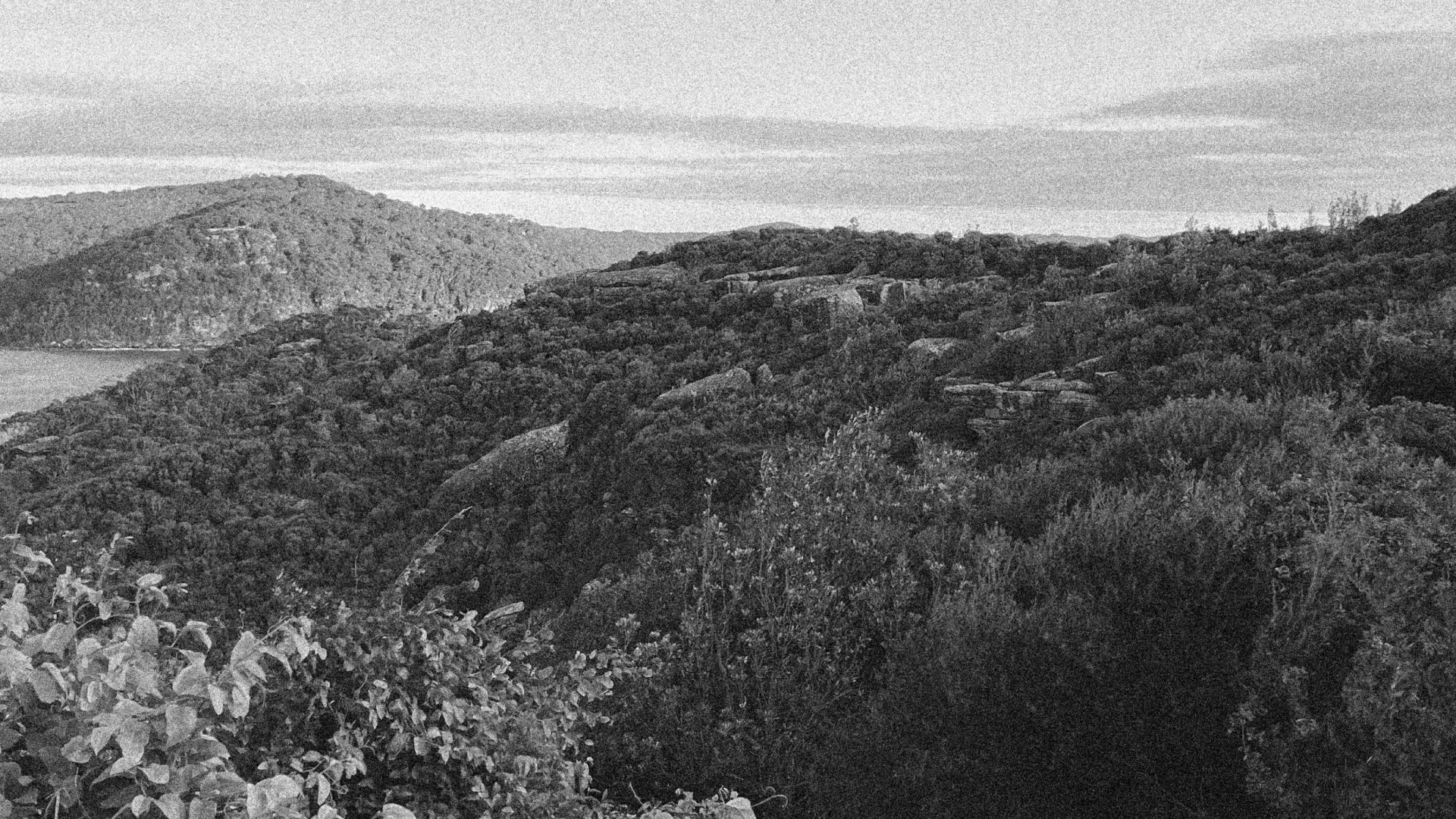 Hilly landscape with trees and a body of water in the distance.